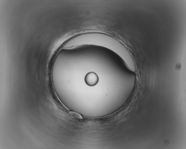 X0000114990248200911161520