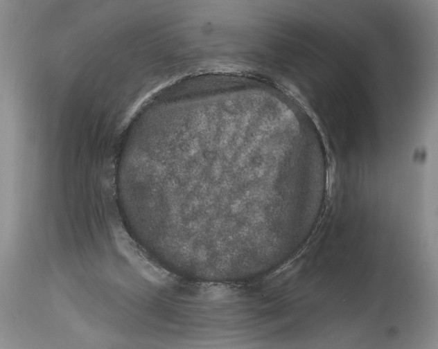 X0000114990249200911161520