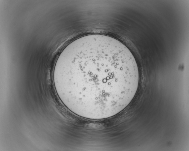 X0000114990251200911161520