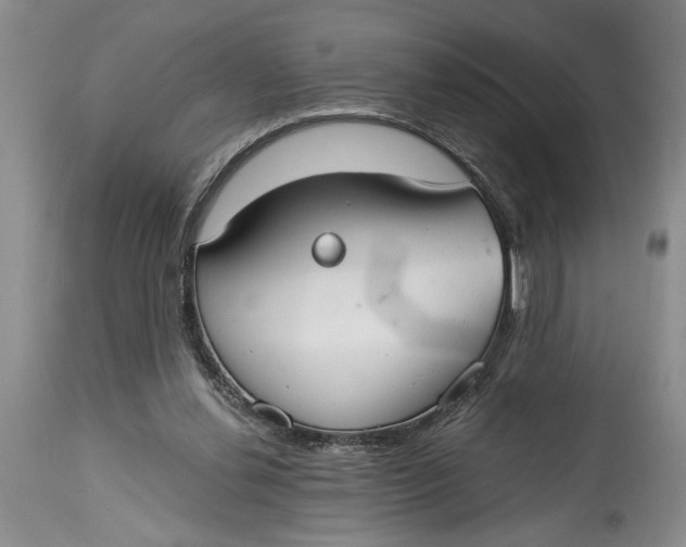 X0000114990252200911161520