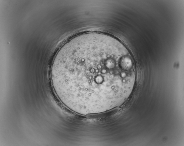 X0000114990253200911161520