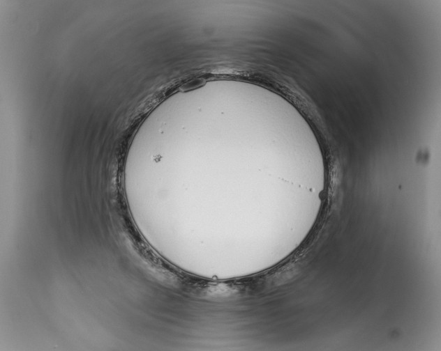 X0000114990257200911161520