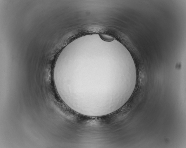 X0000114990259200911161520