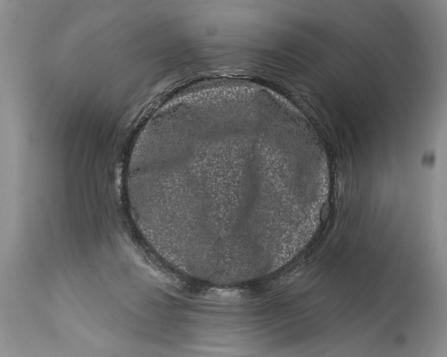 X0000114990260200911161520