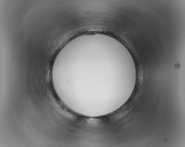 X0000114990261200911161520