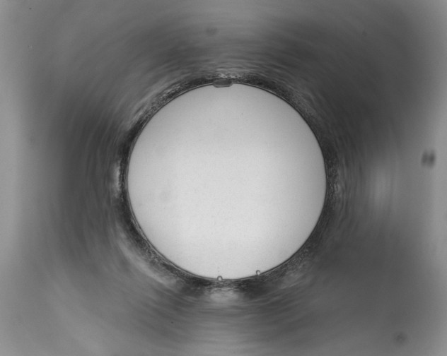 X0000114990262200911161520