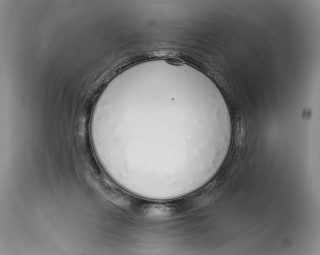 X0000114990263200911161520