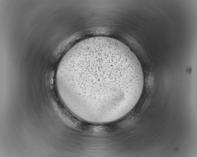 X0000114990264200911161520