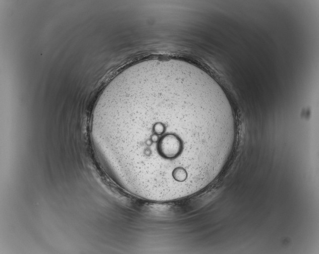 X0000114990265200911161520