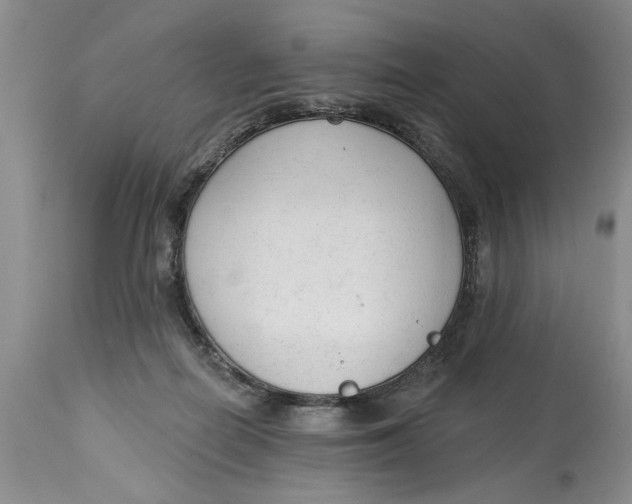 X0000114990266200911161520