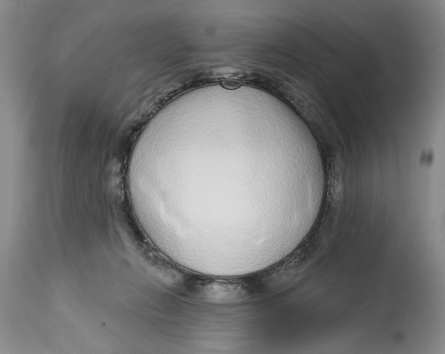 X0000114990270200911161520