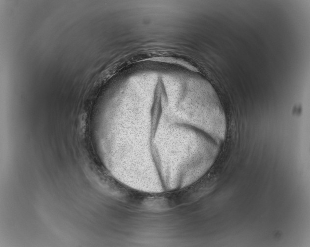 X0000114990271200911161520