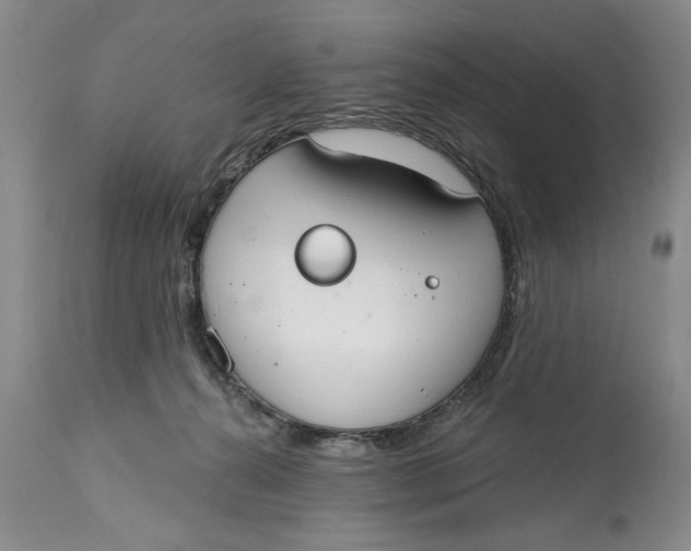 X0000114990272200911161520