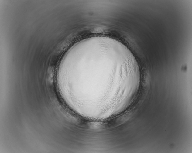 X0000114990273200911161520