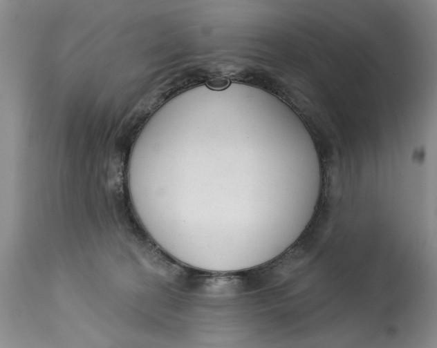 X0000114990274200911161520