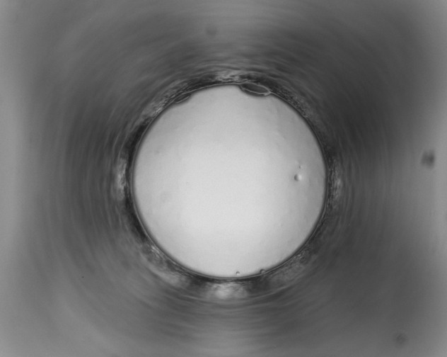 X0000114990275200911161520