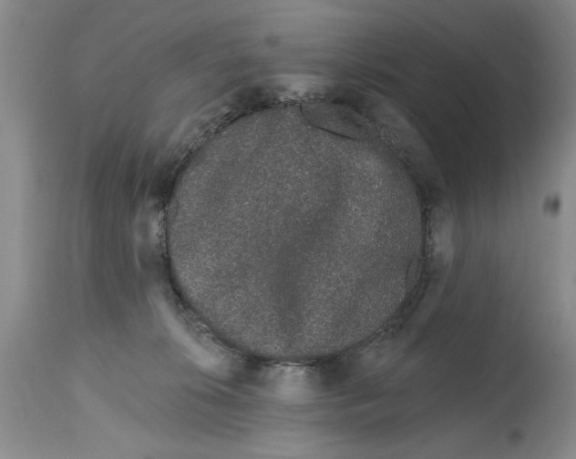 X0000114990276200911161520