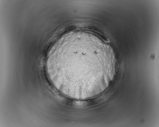 X0000114990277200911161520