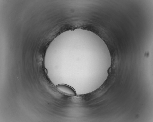 X0000114990279200911161520