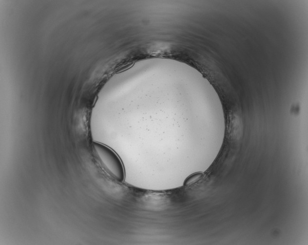 X0000114990280200911161520