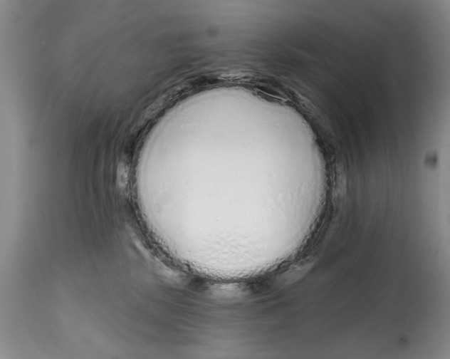 X0000114990281200911161520