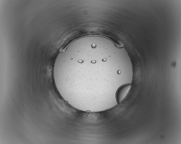 X0000114990282200911161520