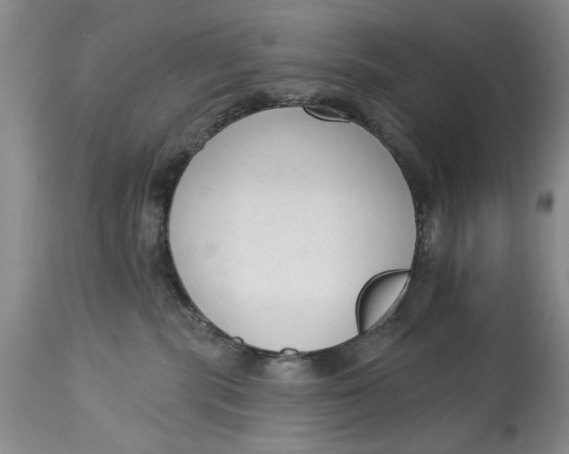 X0000114990283200911161520