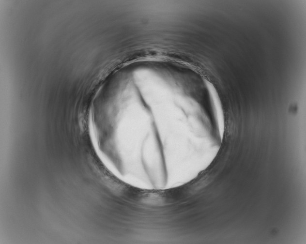 X0000114990285200911161520