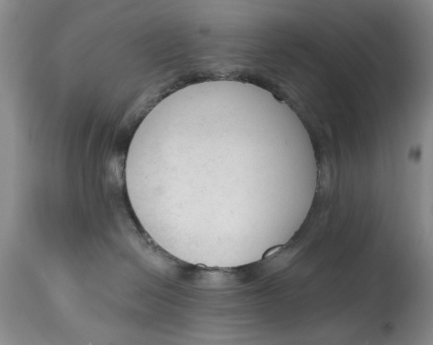 X0000114990286200911161520