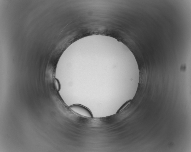 X0000114990287200911161520