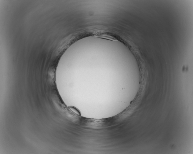 X0000114990288200911161521