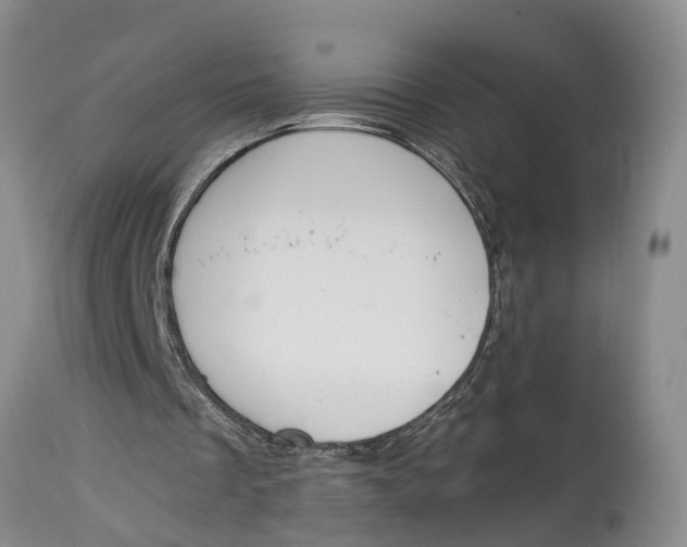 X0000114990289200911161520