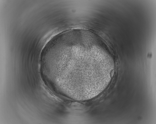 X0000114990290200911161520