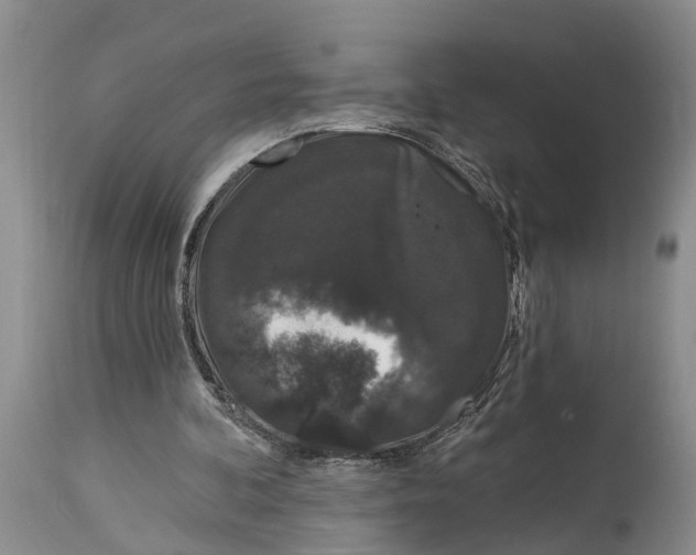 X0000114990292200911161520