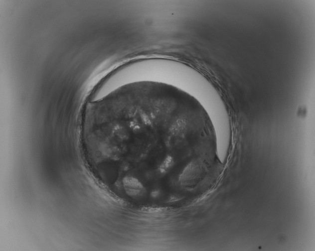 X0000114990295200911161520