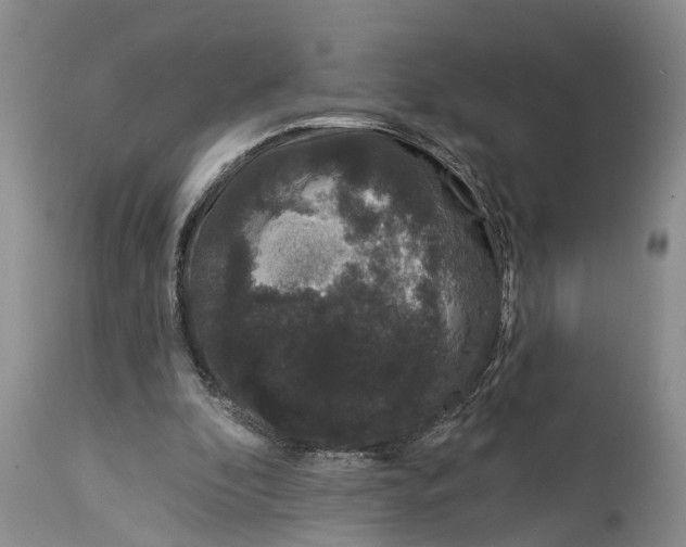 X0000114990296200911161520