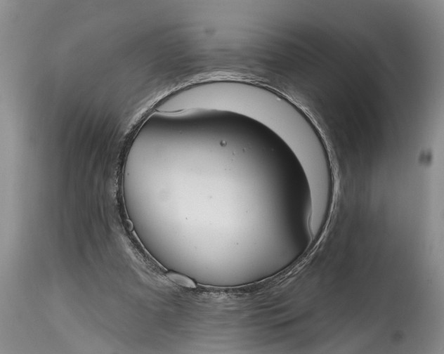 X0000114990297200911161520