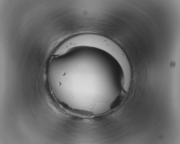 X0000114990302200911161520