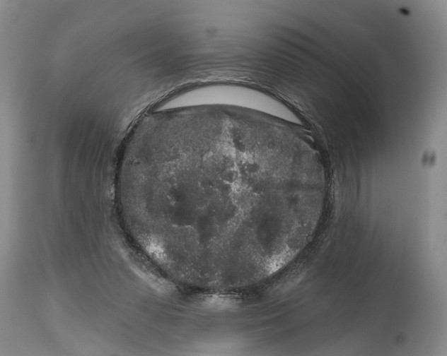 X0000114990303200911161520