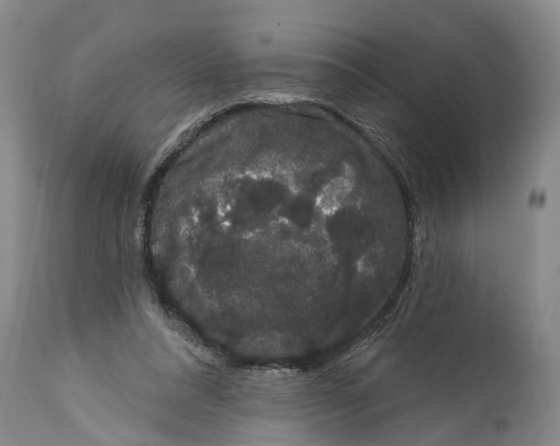 X0000114990304200911161520