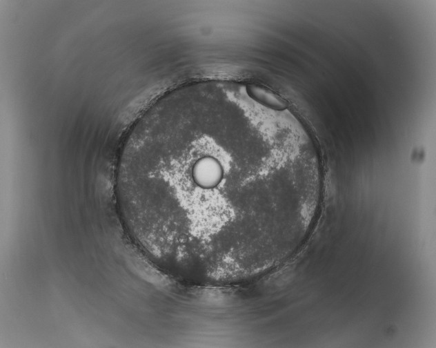 X0000114990305200911161520