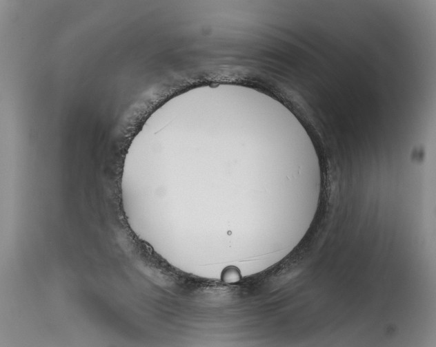 X0000114990307200911161520