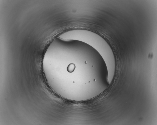 X0000114990309200911161520