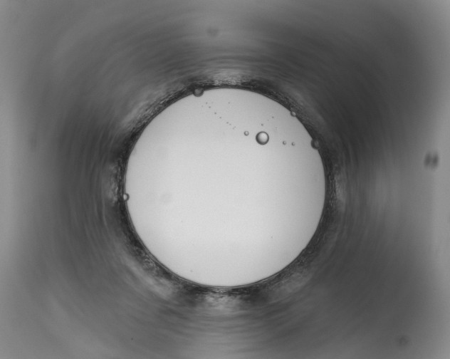 X0000114990311200911161520