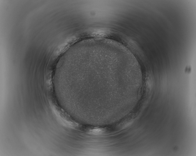 X0000114990312200911161520