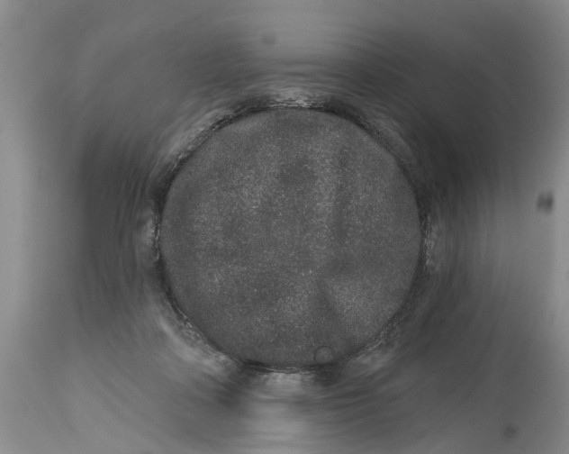 X0000114990314200911161519