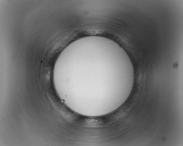 X0000114990315200911161519