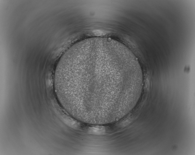 X0000114990317200911161519