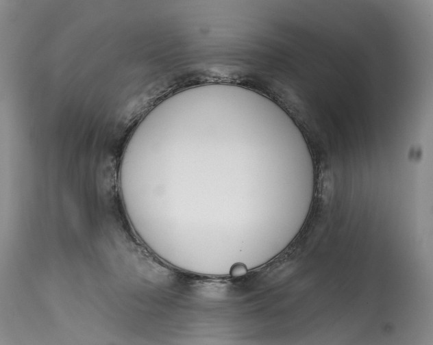 X0000114990318200911161519