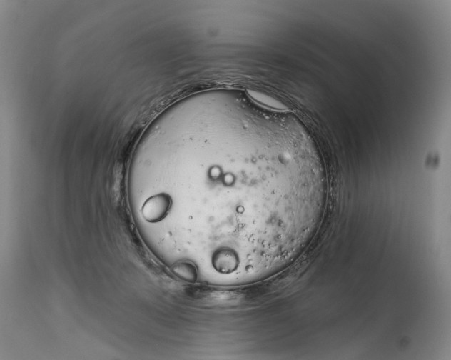 X0000114990319200911161519